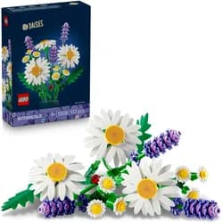 Gänseblümchen