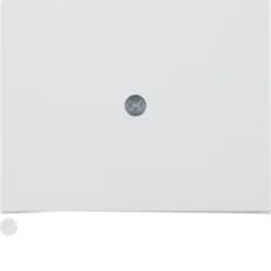 Berker Zentralstück pws 10057009