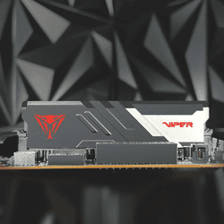 Patriot Viper Venom 16 GB DDR5-48000 ECC DIMM