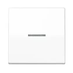 Jung Wippe Lichtleiter aws AS 591 KO5 WW