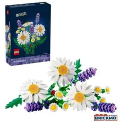 Gänseblümchen