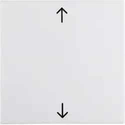 Berker Wippe pws/gl 16208919