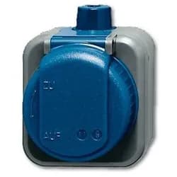 Busch-Jaeger Steckdose 2300 EWDI