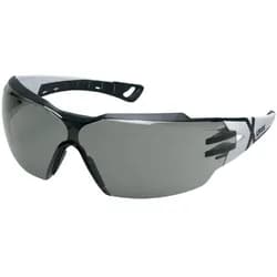 Uvex Schutzbrille pheos cx2, grau