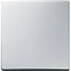 Busch-Jaeger Wippe alusilber 2106-33