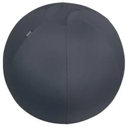 Leitz, Gymnastikball, (65 cm)