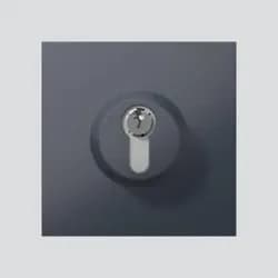 Siedle&Söhne Schloss-Modul SM 611-01 AG