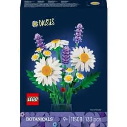 Gänseblümchen