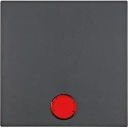 Berker Wippe anth matt 16211606
