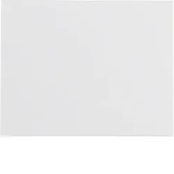 Berker Wippe pws/gl 14057009