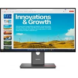 LENOVO ThinkVision P24QD-40, 23.8"