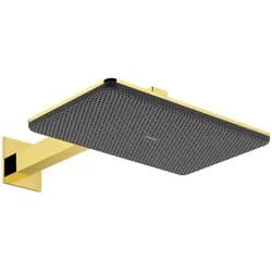 hansgrohe Kopfbrause Raindance Alive Q 2jet, Mind.-Druck 1 b, pol. gold optic