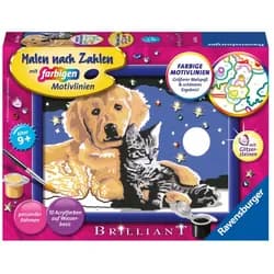 Ravensburger Malen nach Zahlen Classic Sonderserie E Brilliant Funkelnder Sternenhimmel 28016