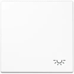 Jung Wippe Symbol LICHT aws LS 990 L WW