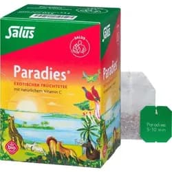 Paradies Vitamin C Früchtetee Beutel salus