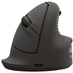FELLOWES vertikale Maus Breyta large right (100143582) Maus