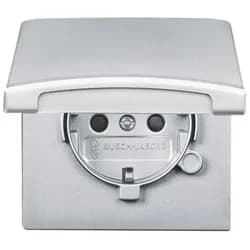 Busch-Jaeger Schuko-Steckdoseneinsatz 20 EUGKB-33-101