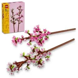 Kirschblüten