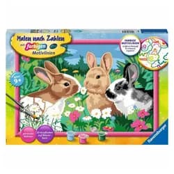 Ravensburger Malen nach Zahlen Putzige Häschen bunt
