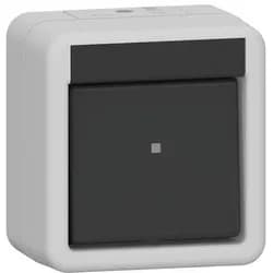 Gira Wippschalter 310730