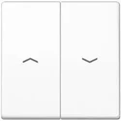 Jung Wippe Symbole aws AS 591-5 P WW