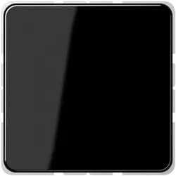Jung Blind-Abdeckung sw CD 594-0 SW