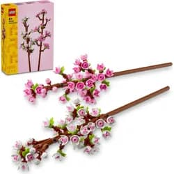 Kirschblüten