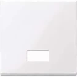 Merten Wippe Symbol Fenster awsgl 432825