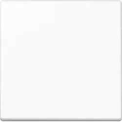 Jung Steuertaste Standard A 1700 WW