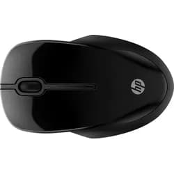 HP 250 Dual-Maus