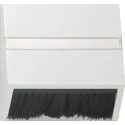 Gira Zentralplatte rws-gl 068203