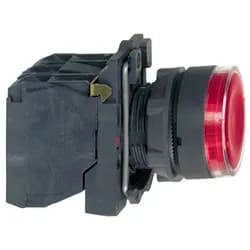 Illuminated pushbutton