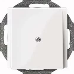 Merten Zentralplatte pws/gl 296319