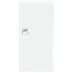Busch-Jaeger Wippe 2-f re Symbol Szene 6233-22-84