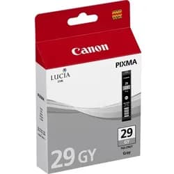 Canon Tinte 4871B001 PGI-29GY grau
