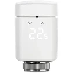 Thermo (Matter 4th generation)