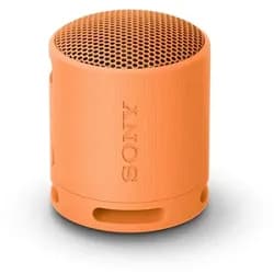Sony SRSXB100D