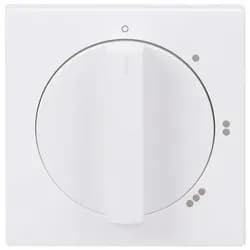 Busch-Jaeger Zentralscheibe stws mt 2542 DR/01-884