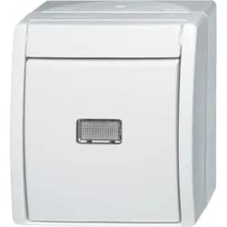 Busch-Jaeger Taster aws 2621 W-54-206