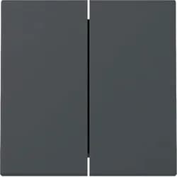 Gira Wippe 2f gerade 349528