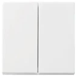 Busch-Jaeger Wippe aws 2505-914
