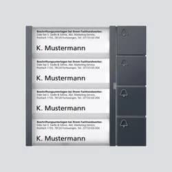 Siedle&Söhne Bus-Tasten-Modul BTM 650-04 AG