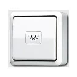 Jung Taster ohne Symbole aws 631 A WW