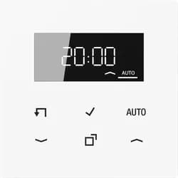 Jung Timer Standard mit Display (alpinweiß)