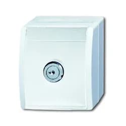 Busch-Jaeger 20 EWSL-54 SCHUKO® Steckdose