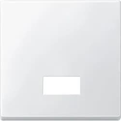 Merten Wippe Symbol Fenster pws 434819