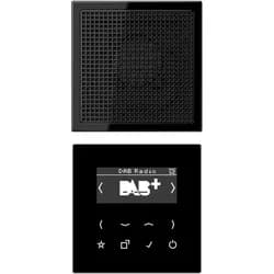 Jung Smart DAB+ Digitalradio DAB LS1 SW