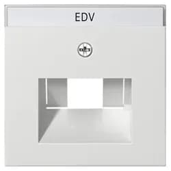 Gira Zentraleinsatz rws-gl 028403