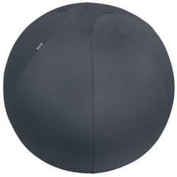 LEITZ Ergo Cosy Sitzball grau