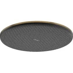 hansgrohe Raindance Alive S Kopfbrause 300 1jet, Brushed Bronze
